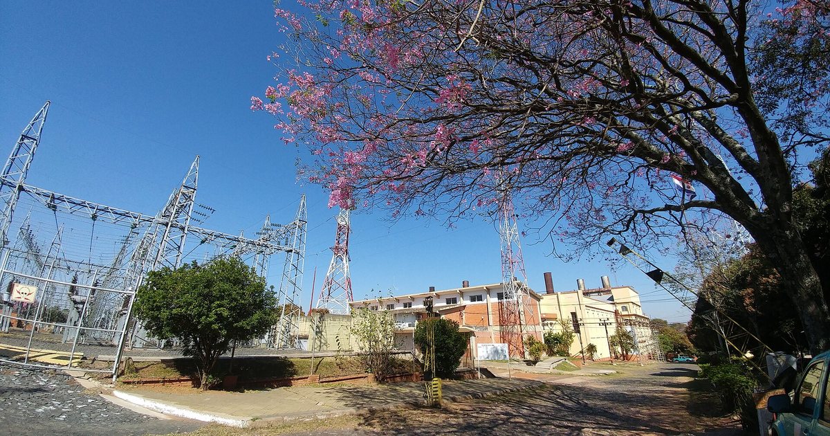Subestación de la ANDE en el barrio Sajonia de Asunción, con un lapacho en flor