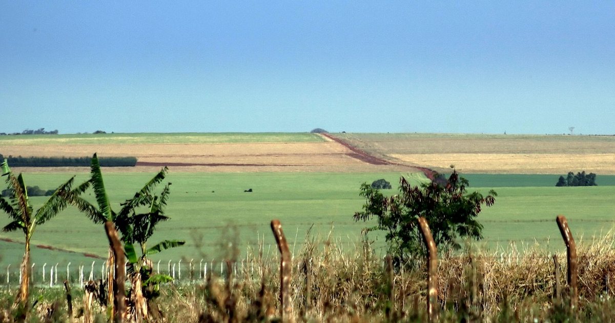 Campos de cultivo en el departamento de Alto Paraná