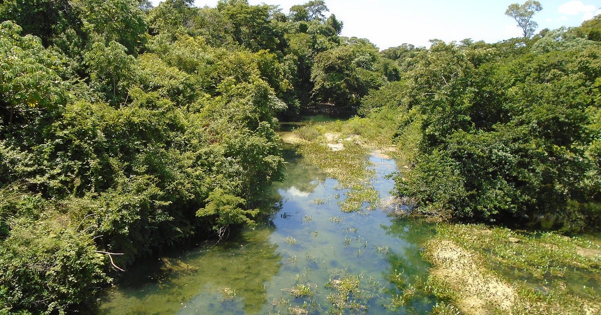 Río Tagatiya-mí y su vegetación en el departamento de Concepción