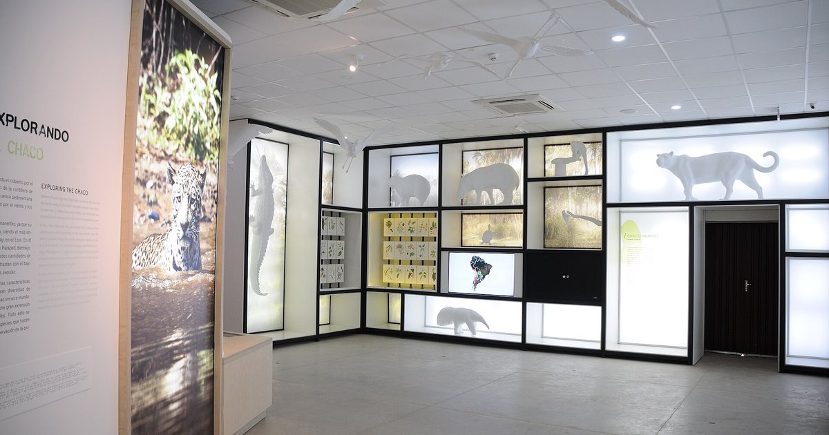 Sala de fauna del Centro de Interpretación del Gran Chaco Americano, en Filadelfia, Boquerón
