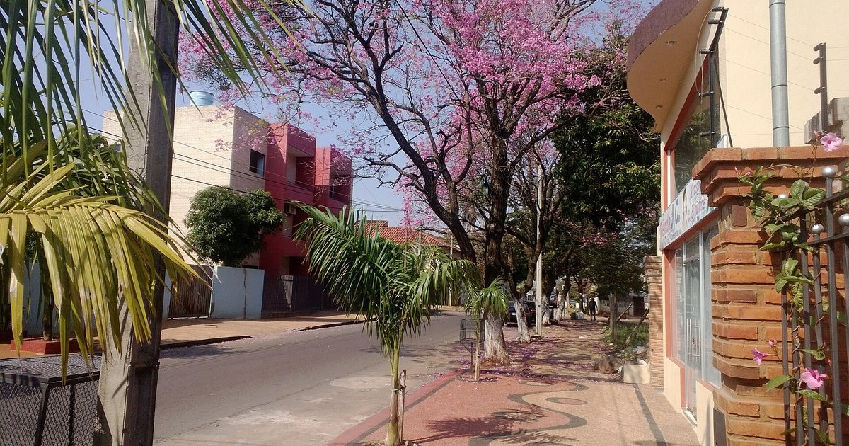 Calle Antequera de Luque, con veredas y lapachos rosados en flor
