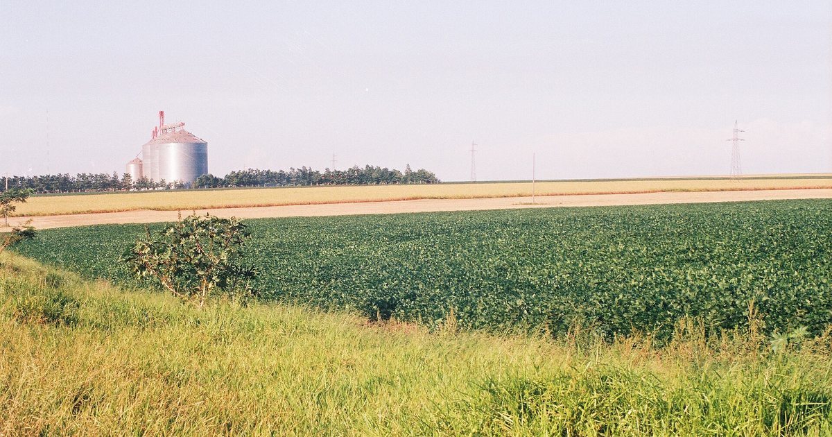 Cultivo de soja y silo de almacenamiento de granos en el campo paraguayo