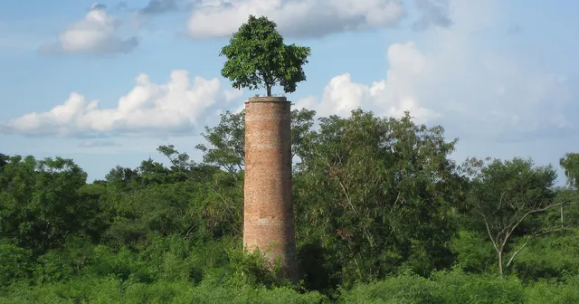 Foto: gomezminck / Wikimedia Commons · CC BY-SA 3.0